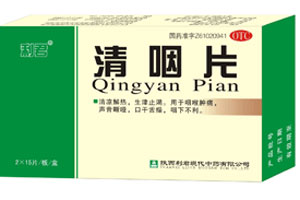 ����Ƭ����|˵����