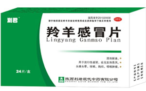 �����ðƬ(30)����|˵����