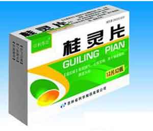 ����Ƭ����|˵����