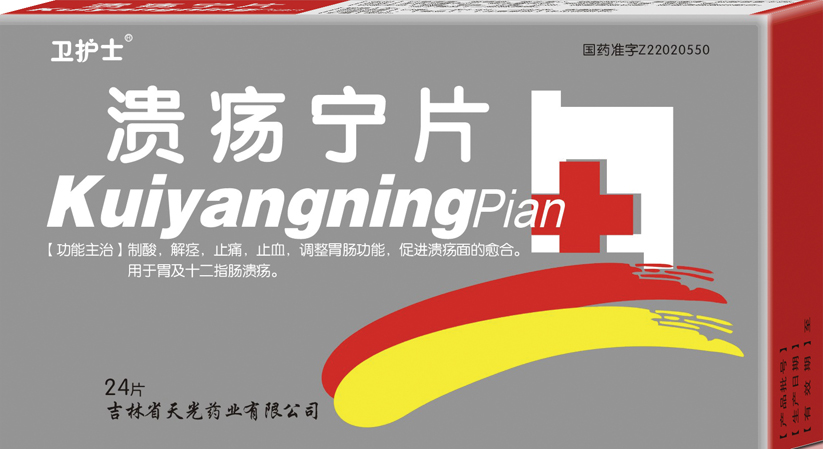 ������Ƭ����|˵����