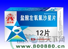 ����������ɳ��Ƭ����|˵����