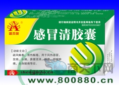 ��ð�彺������|˵����