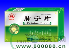 ����Ƭ����|˵����