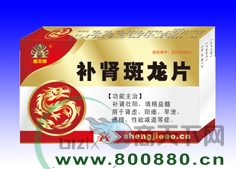 ��������Ƭ����|˵����