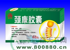 ������������|˵����