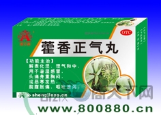 ޽������������|˵����