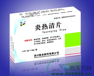 ������Ƭ