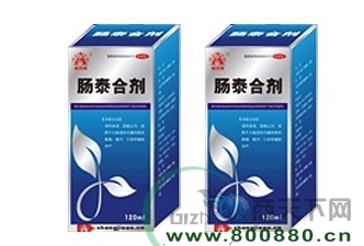 ��̩�ϼ�����|˵����