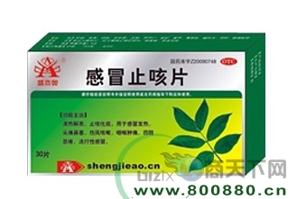 ��ðֹ��Ƭ����|˵����