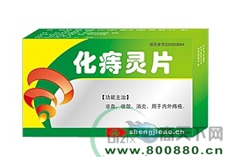 ������Ƭ����|˵����