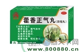 ޽������������|˵����