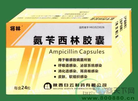 �������ֽ���