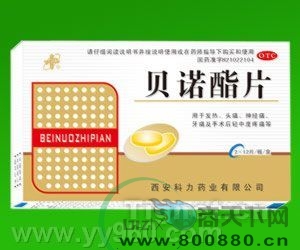 ��ŵ��Ƭ����|˵����