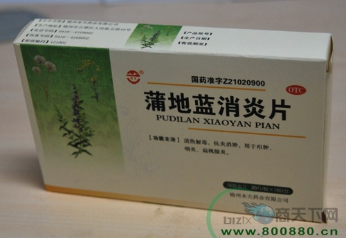 �ѵ�������Ƭ����|˵����