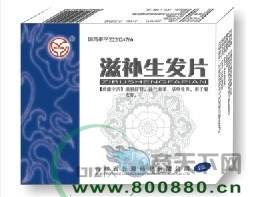 �̲�����Ƭ