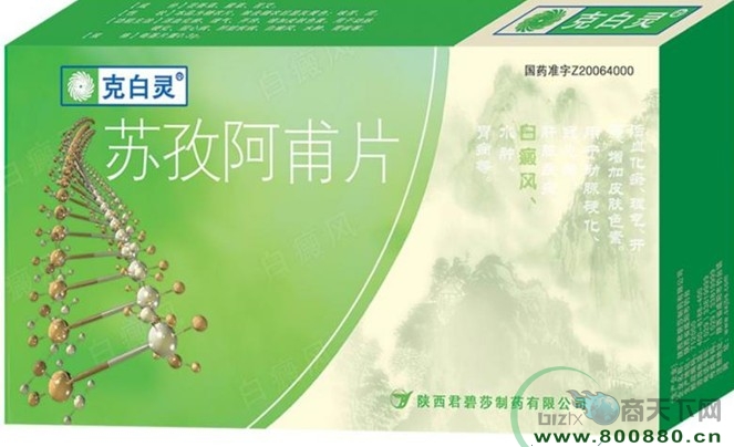 ���ΰ���Ƭ����|˵����