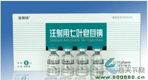 ��Ҷ��������ɽ����Ҷ����|˵����