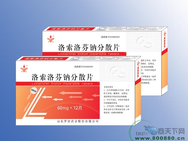 ������ҷ�ɢƬ ɽ����������|˵����