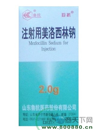 (ע��������������)ɽ��³������|˵����