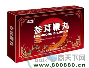 ���ױ�������|˵����