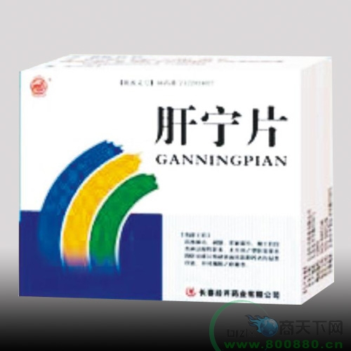 ����Ƭ ����|˵����