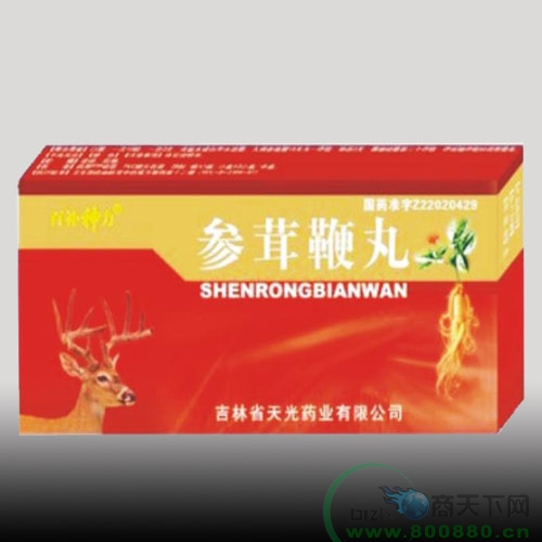 ���ױ�������|˵����