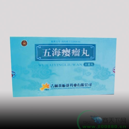 �庣���������|˵����