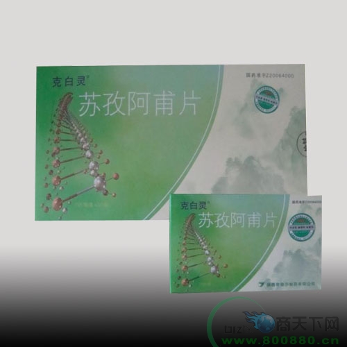 ���ΰ���Ƭ����|˵����