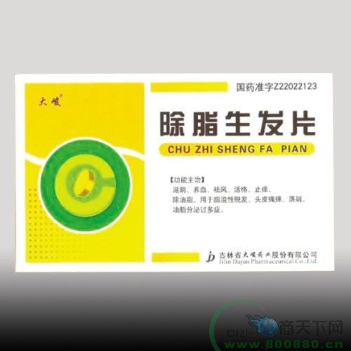 ��֬����Ƭ����|˵����