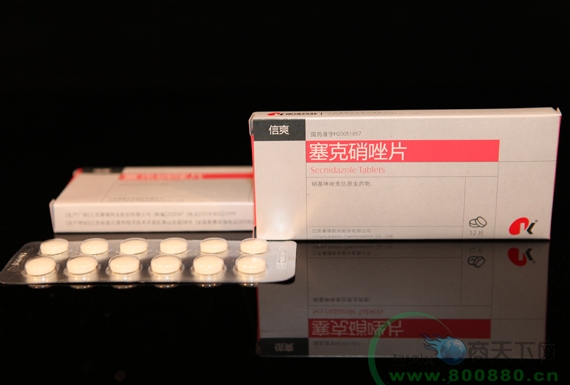 ��������Ƭ