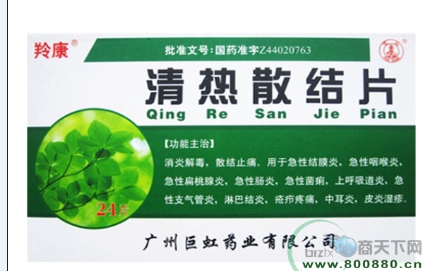 ����ɢ��Ƭ����|˵����