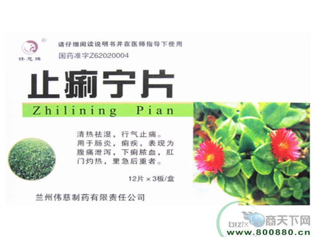 ֹ����Ƭ����|˵����