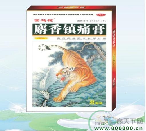 ������ʹ�ࣨ�ߵ�װ��