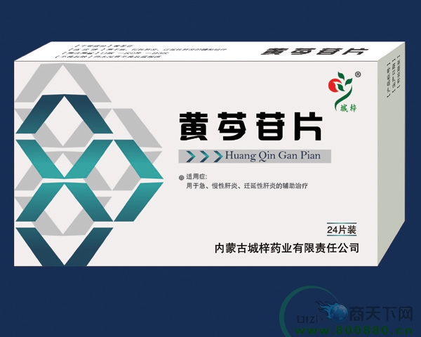 ������Ƭ