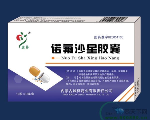 ŵ��ɳ�ǽ���  