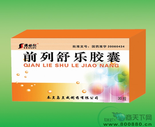 ǰ�����ֽ�������|˵����