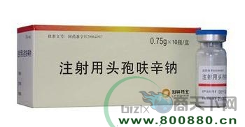 ע����ͷ��߻����