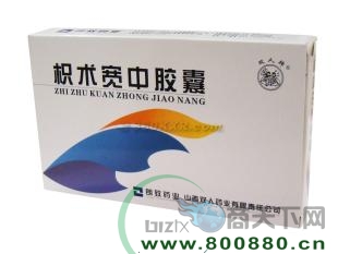 �������н�������|˵����