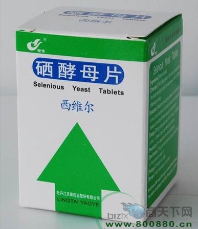 ����ĸƬ����|˵����