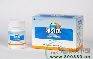 ����������п���׽�Ƭ��100Ƭ��