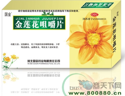 �������׽�Ƭ