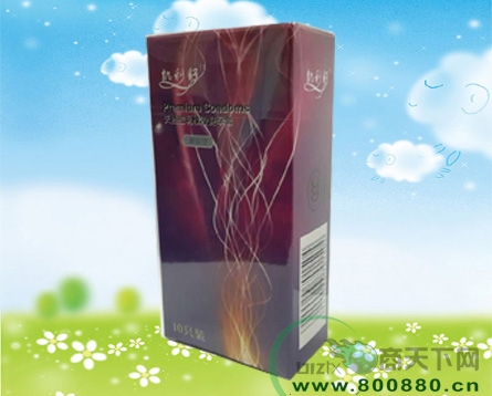 �����ͱ���������|˵����