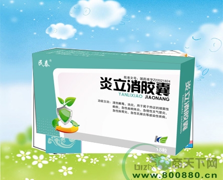 ��������������|˵����