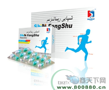 ʷ�ط��潺��