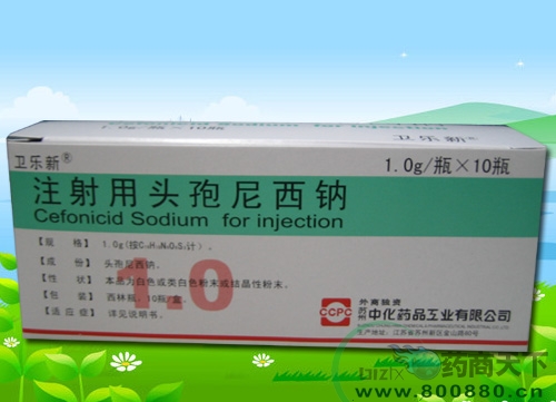 ע����ͷ��������