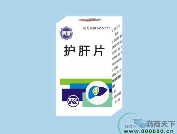 ����Ƭ����|˵����