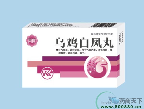 �ڼ��׷�������|˵����