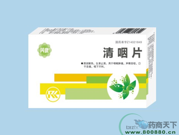 ����Ƭ����|˵����