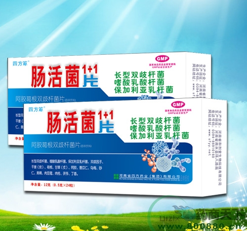 �����1+1����|˵����