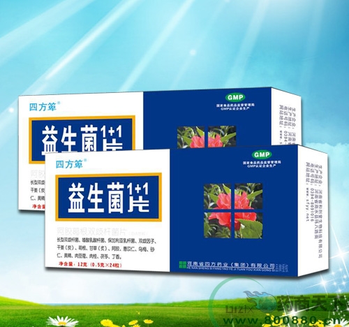 ������1+1Ƭ����|˵����